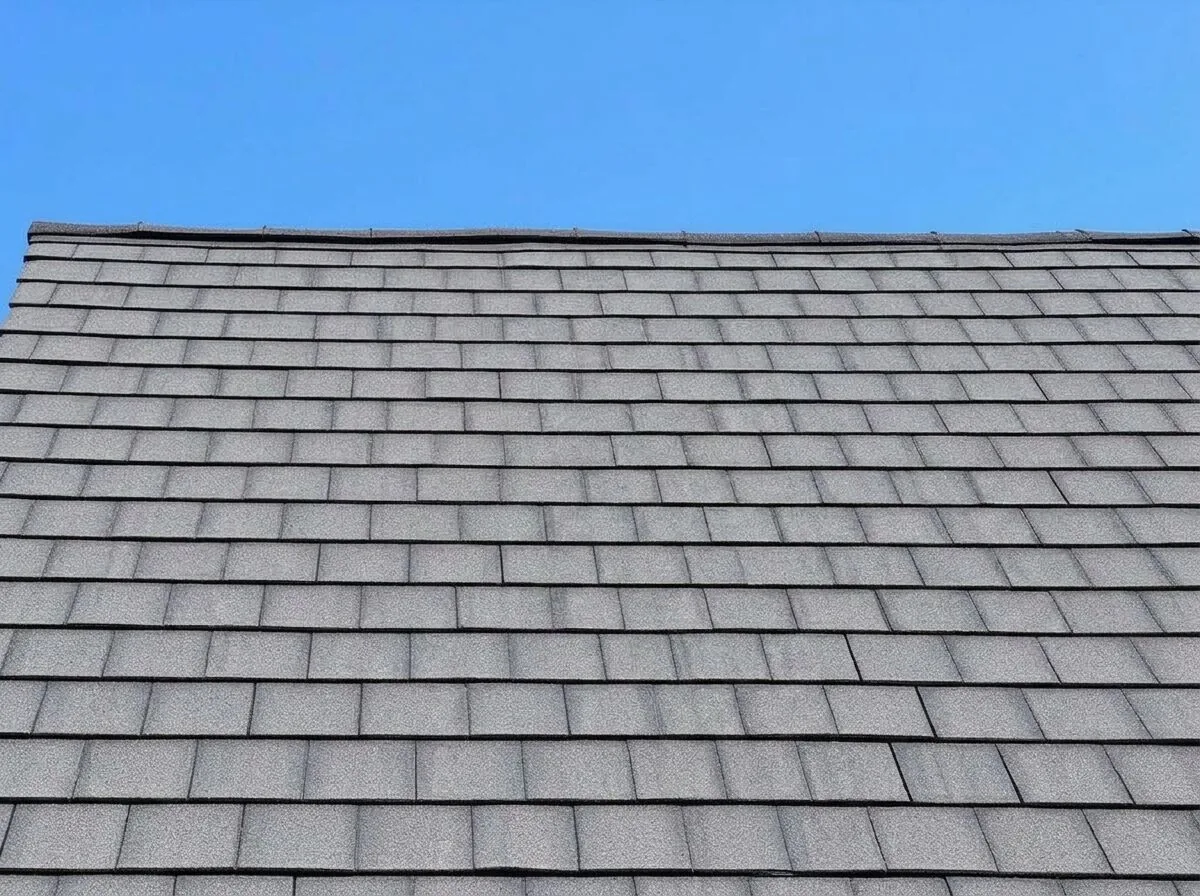 After: Black roof streaks removed